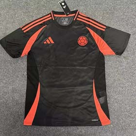 24/25 Adidas  season America's Cup football uniform new quick-drying customized short-sleeved T-shirt sports uniform men（40 styles)-1898